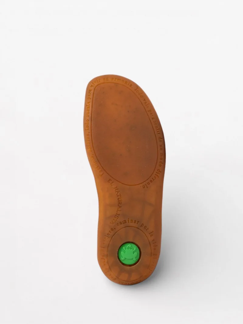 El Viajero N275 slika 2